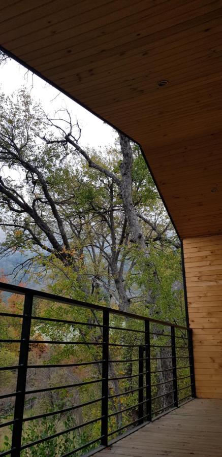 Vivelodge Las Trancas Εξωτερικό φωτογραφία