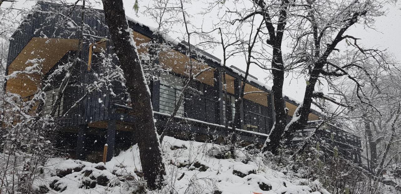 Vivelodge Las Trancas Εξωτερικό φωτογραφία